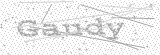 Security Picture (click to change)