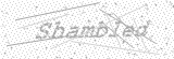 Security Picture (click to change)