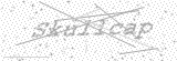 Security Picture (click to change)