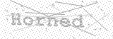 Security Picture (click to change)