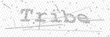 Security Picture (click to change)