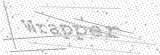 Security Picture (click to change)