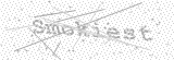 Security Picture (click to change)
