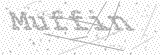 Security Picture (click to change)
