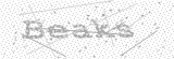 Security Picture (click to change)