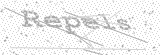 Security Picture (click to change)