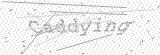 Security Picture (click to change)