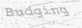 Security Picture (click to change)