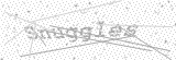 Security Picture (click to change)