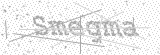 Security Picture (click to change)