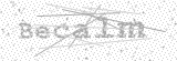 Security Picture (click to change)