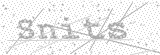 Security Picture (click to change)