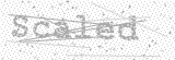 Security Picture (click to change)
