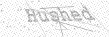 Security Picture (click to change)