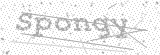 Security Picture (click to change)