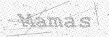 Security Picture (click to change)