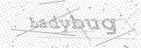 Security Picture (click to change)