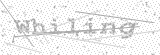 Security Picture (click to change)