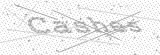 Security Picture (click to change)