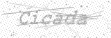 Security Picture (click to change)