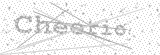 Security Picture (click to change)