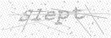 Security Picture (click to change)