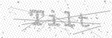 Security Picture (click to change)