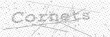 Security Picture (click to change)