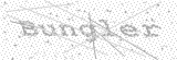 Security Picture (click to change)