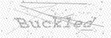 Security Picture (click to change)
