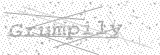 Security Picture (click to change)