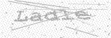 Security Picture (click to change)