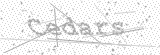 Security Picture (click to change)