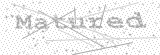 Security Picture (click to change)
