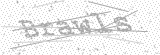 Security Picture (click to change)