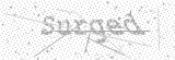 Security Picture (click to change)