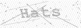 Security Picture (click to change)
