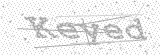Security Picture (click to change)