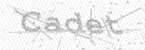 Security Picture (click to change)