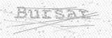 Security Picture (click to change)