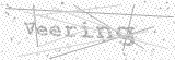 Security Picture (click to change)