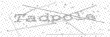 Security Picture (click to change)