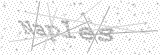 Security Picture (click to change)