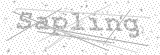Security Picture (click to change)