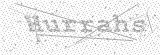 Security Picture (click to change)