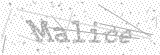 Security Picture (click to change)