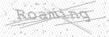Security Picture (click to change)