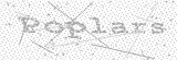 Security Picture (click to change)