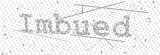 Security Picture (click to change)