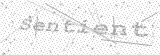 Security Picture (click to change)